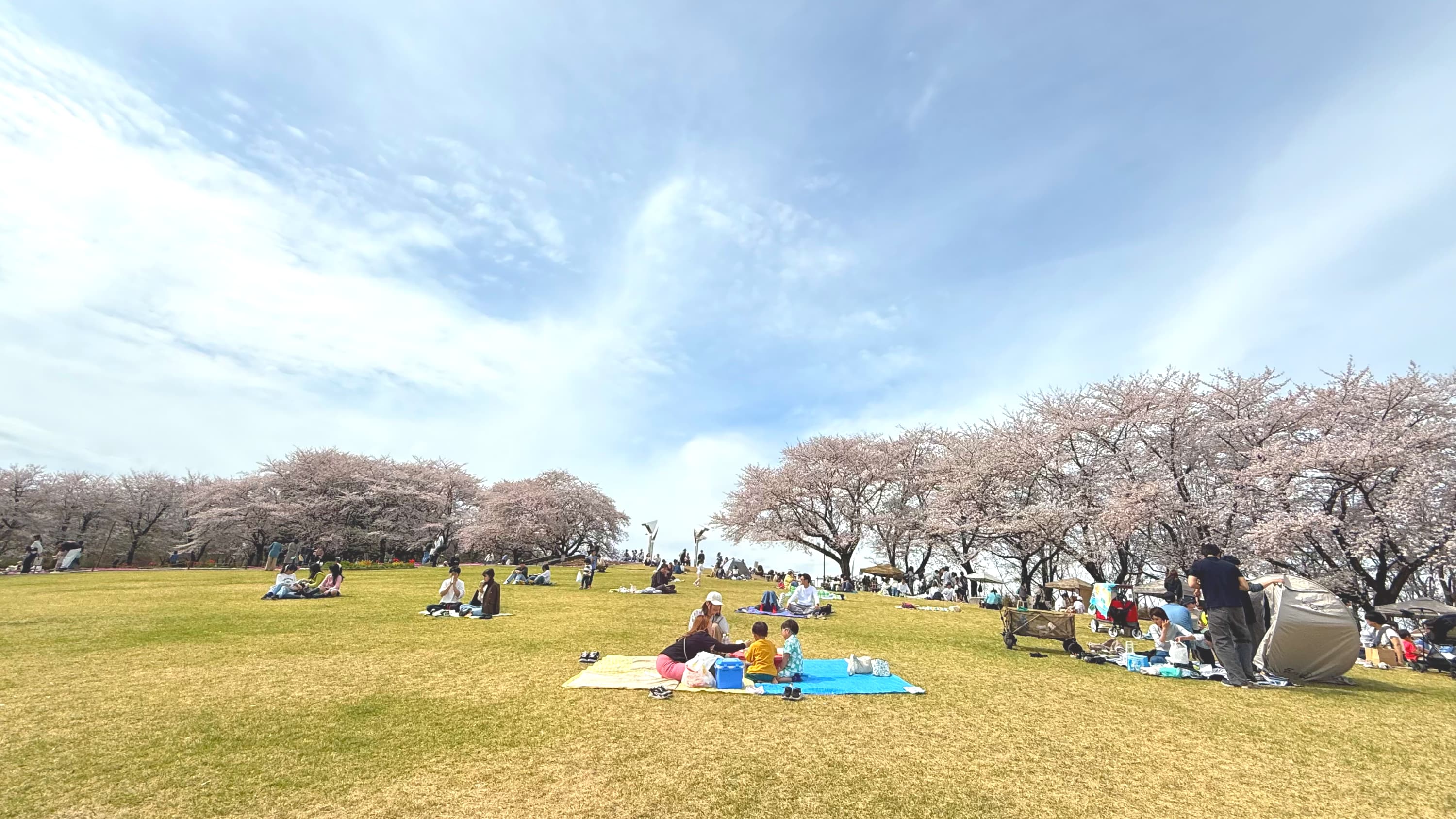 みっくすフェスタ