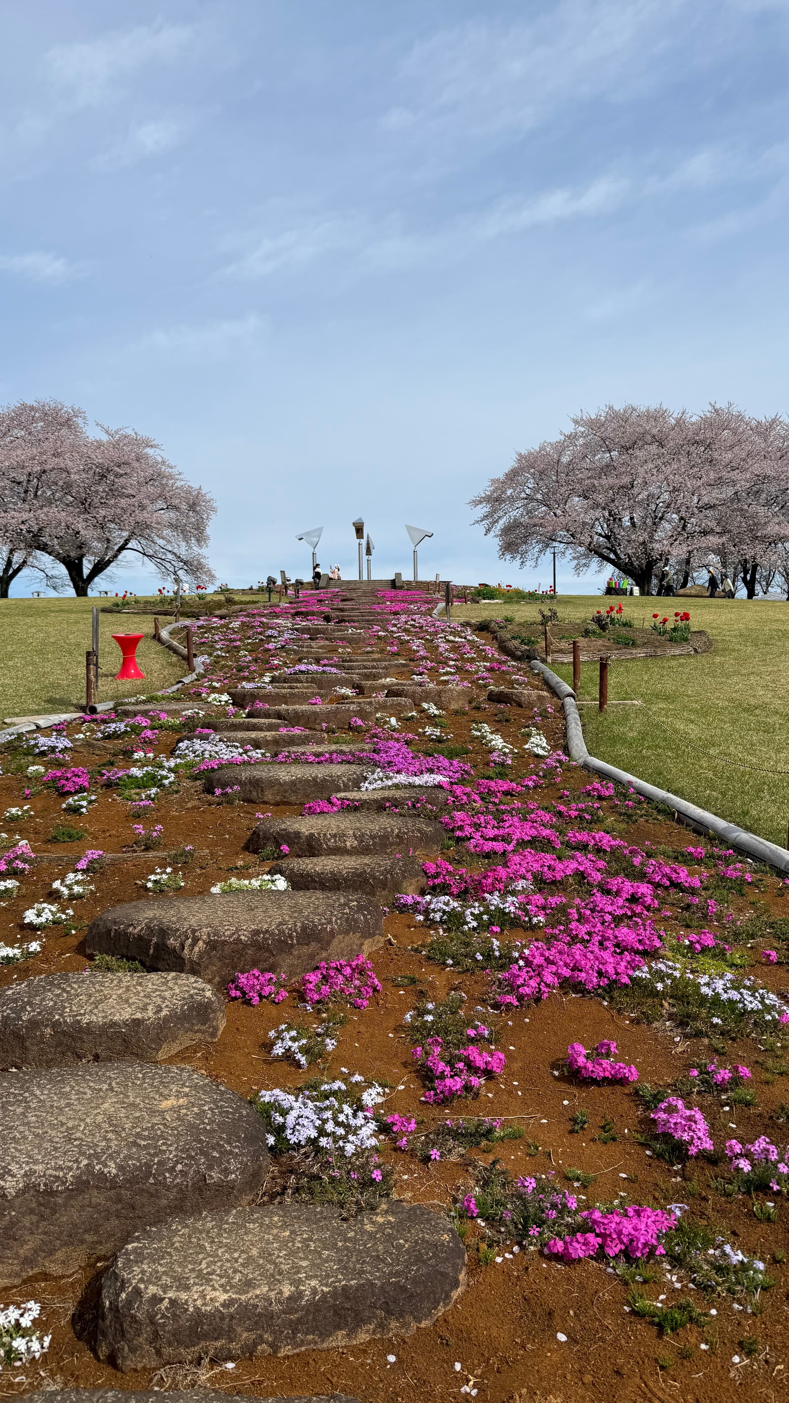 芝桜の遊歩道